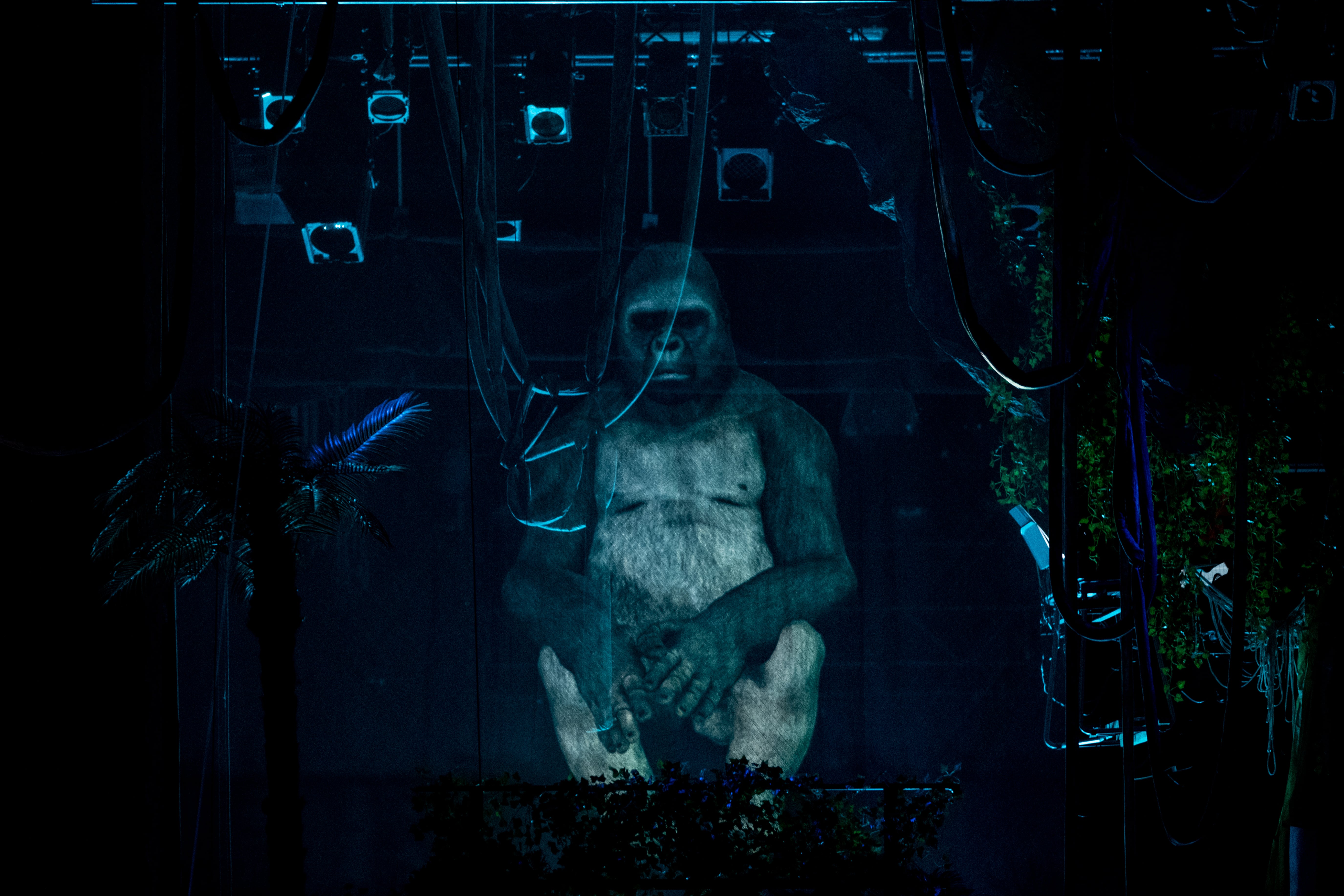 Hard Feelings (Ein Bericht f&uuml;r eine Akademie)