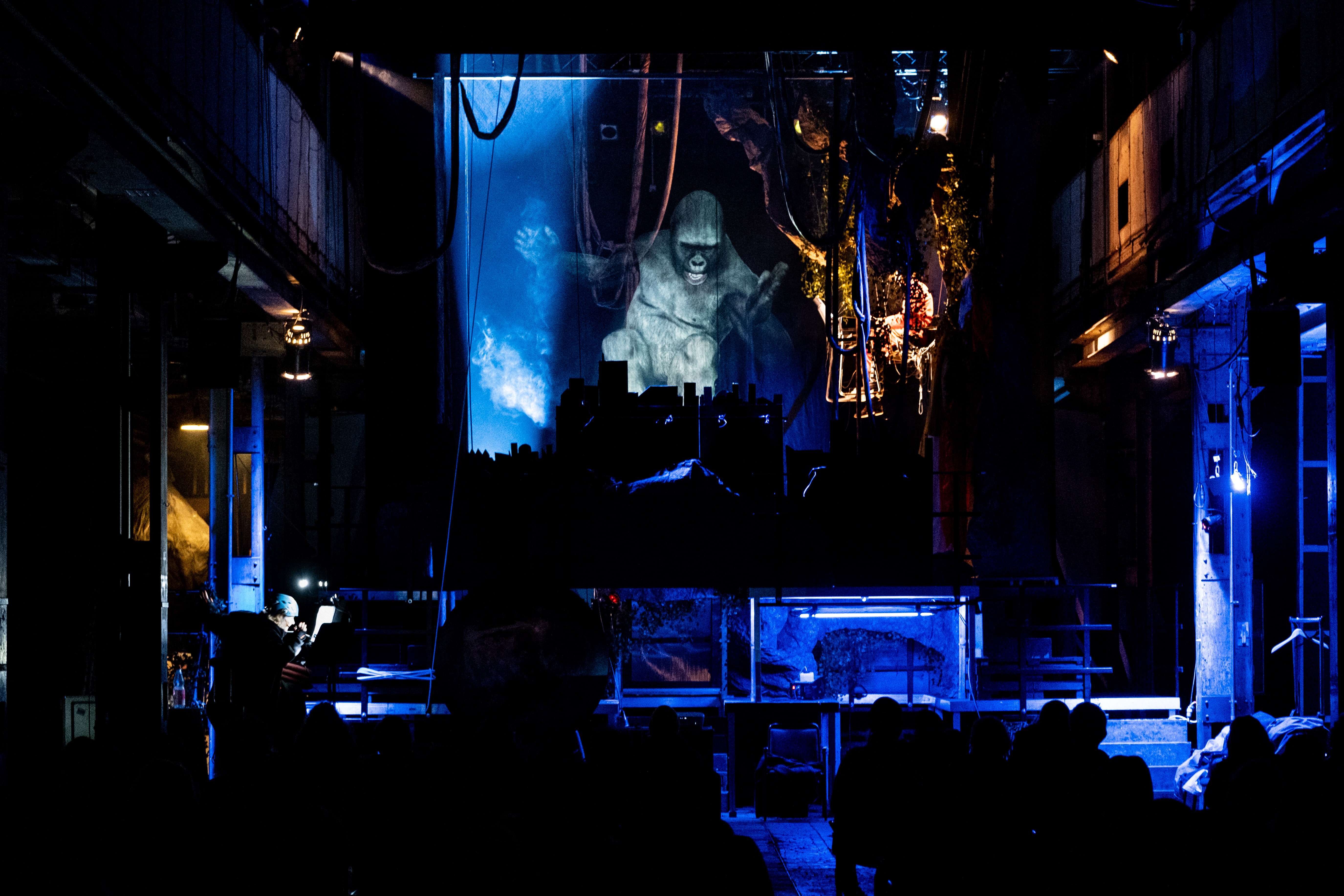 Hard Feelings (Ein Bericht f&uuml;r eine Akademie)